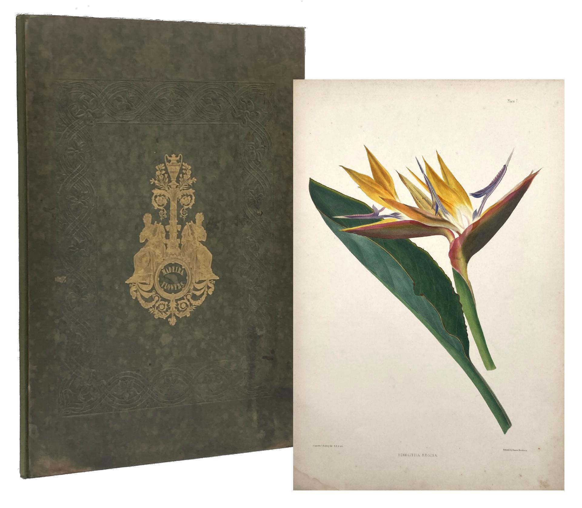 Katalogbeitrag zur 63. Stuttgarter Antiquariatsmesse 2026