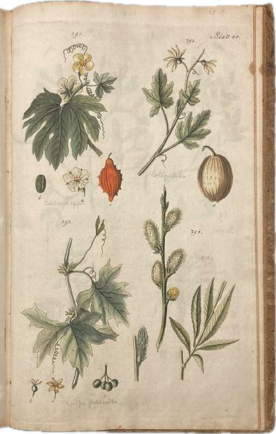 Photographie des Artikels