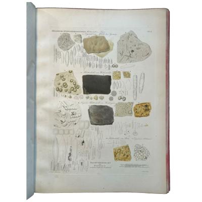 Photographie des Artikels