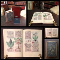 Photographie des Artikels