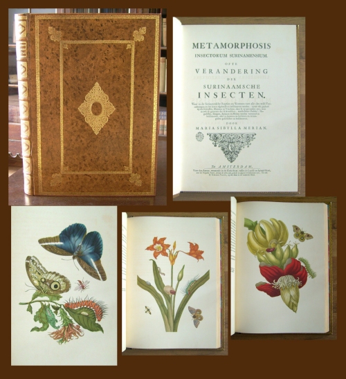 Photographie des Artikels